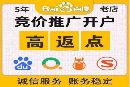 网络推广与竞价广告：双管齐下的策略案例